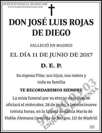 José Luis Rojas de Diego